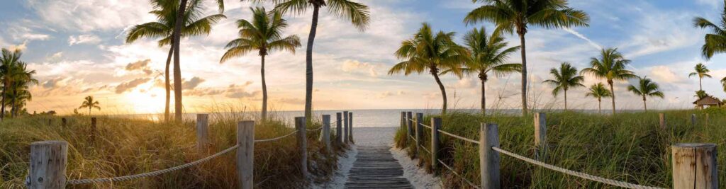 Palm trees line a walkway leading to the sandy beaches near Pinellas County, Florida.