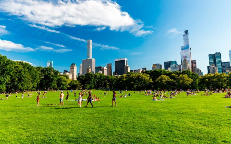 Measuring Outcomes: Communications That Drive Real Impact Post Image