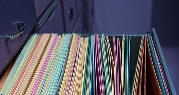 Land & Official Records (govRecords) Product Image