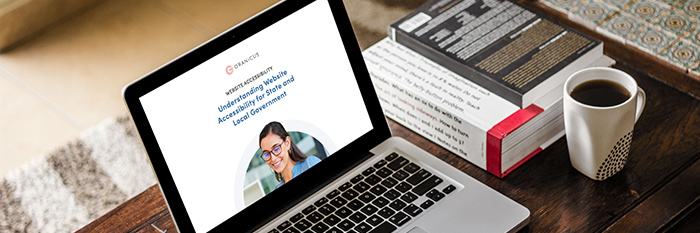 Understanding website accessibility for state and local government Post Image