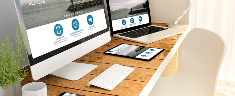 Dictionary – What is a Government CMS? Product Image