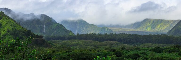 Natural disaster, national attention: Public records request management steps up in time of need Post Image