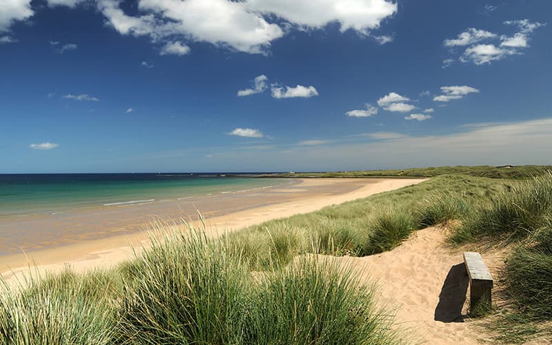 A sandy path lined with tall grass leads to a wooden bench overlooking the ocean under a partly cloudy sky.