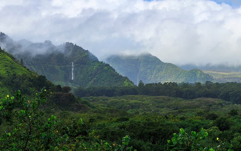 Lush green landscape in Maui, Hawaii, featuring dense vegetation, mist-covered mountains in the background, and a waterfall cascading down one of the peaks under a partly cloudy sky.
